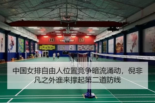 zhong-guo-nv-pai-zi-you-ren-wei-zhi-jing-zheng-an-liu-yong-dong-ni-fei-fan-zhi-wai-shui-lai-cheng-qi-di-er-dao-fang-xian-3-100.jpg